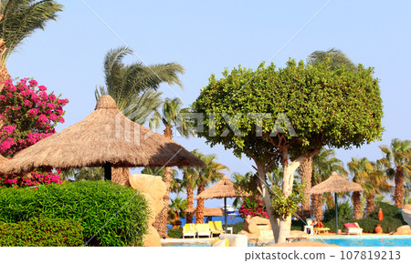 Palm trees, swimming pool and loungers umbrellas near beach and Red Sea, Egypt. Summer vacation, relaxing on tropical beach 107819213