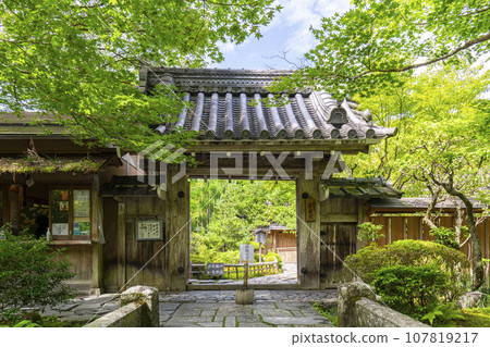 Hosen-in temple gate and fresh greenery (Ohara, Sakyo Ward, Kyoto City) 107819217
