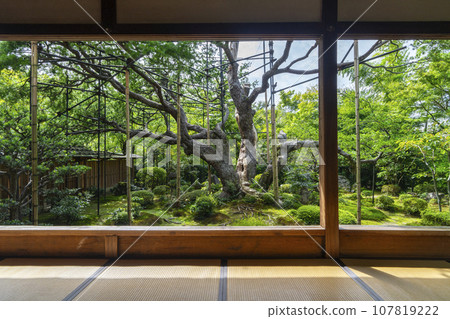 Hosenin Bankanen Picture Frame Garden (Ohara, Sakyo Ward, Kyoto City) Hosenin Bankanen Picture Frame Garden (Ohara, Sakyo Ward, Kyoto City) 107819222
