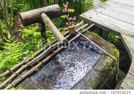 Hosenin Tsurukame Garden Tsukubai (Ohara, Sakyo Ward, Kyoto City) 107819225