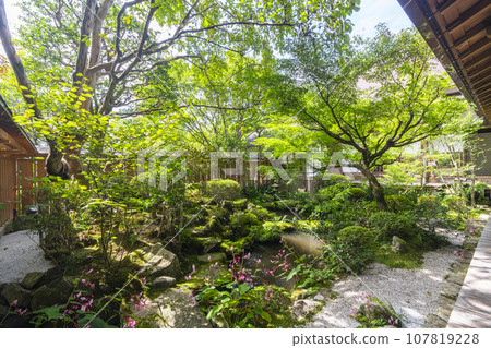 寶泉院鶴龜庭園（京都市左京區大原） 107819228