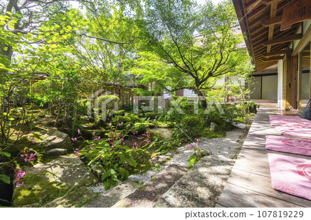 Hosenin Tsurukame Garden (Ohara, Sakyo Ward, Kyoto City) Hosenin Tsurukame Garden (Ohara, Sakyo Ward, Kyoto City) 107819229