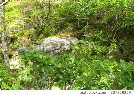 Hosenin Horakuen (Ohara, Sakyo Ward, Kyoto City) Hosenin Horakuen (Ohara, Sakyo Ward, Kyoto City) 107819239