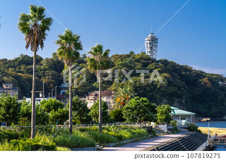 [Kanagawa Prefecture] Early morning scenery of Enoshima 107819275