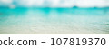 Nature travel tropical beach 107819370