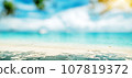Tropical blur beach panorama 107819372