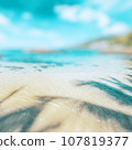Tropical ocean beach 107819377