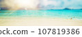 Caribbean paradise beach 107819386