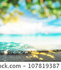Tropical ocean beach 107819387