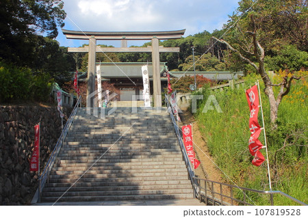 Kitakyushu City Takami Shrine Torii Shichigosan Celebration 107819528