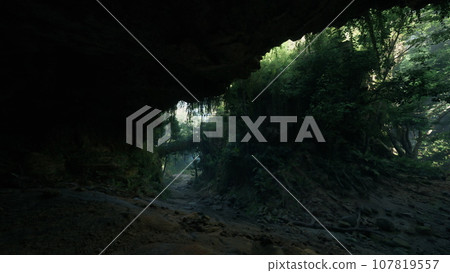 A picturesque dirt road flanked by lush trees in rural China 107819557