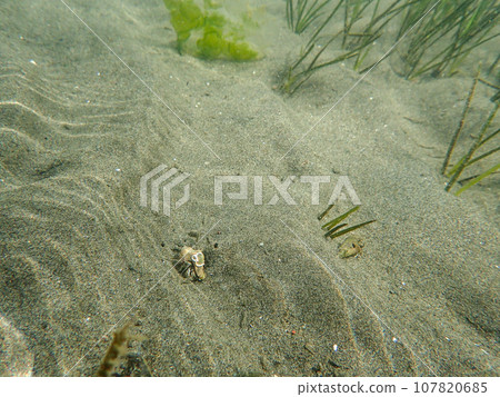 潮灘沙(水下) 潮灘沙(水下) 107820685