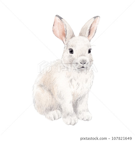 Beautiful stock illustration with hand drawn watercolor wild white rabbit animal. Beautiful stock illustration with hand drawn watercolor wild white rabbit animal. 107821649