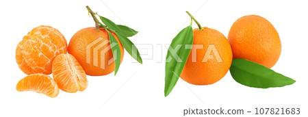 Tangerine or clementine with green leaf isolated on white background with full depth of field. 107821683