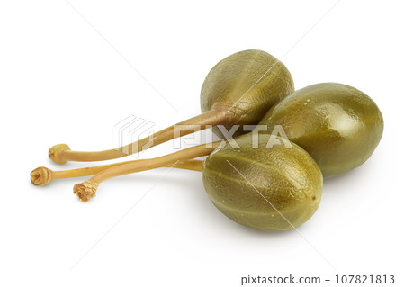 Capers isolated on white background. Pickled or canned capers. Capers isolated on white background. Pickled or canned capers. 107821813