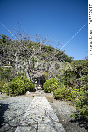 鎌倉十二所十月名王院附近8 鎌倉十二所十月名王院附近8 107822017