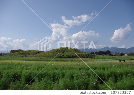 上池埴之鄉公園二子山古墳 上池埴之鄉公園二子山古墳 107823397