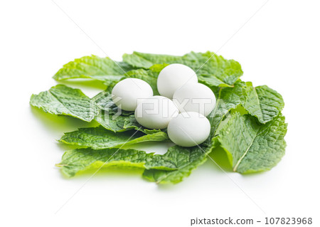 Mint candies. Menthol bonbons and mint leaves isolated on white background. 107823968