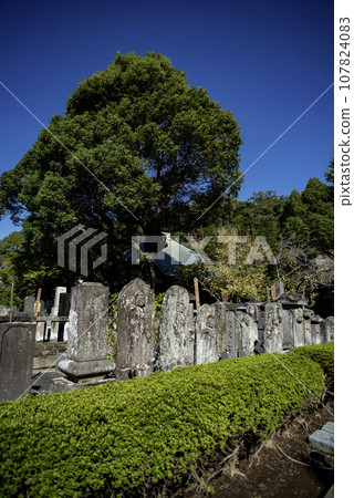 Kamakura Junisho October Kochoji Temple 2 Kamakura Junisho October Kochoji Temple 2 107824083