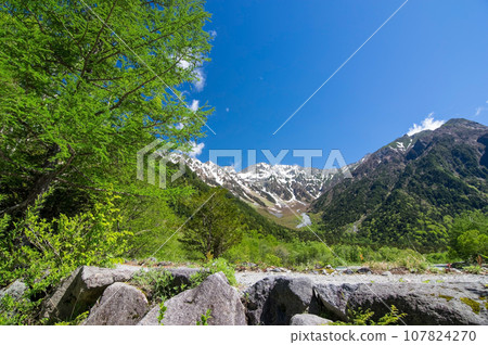 [Nagano Prefecture, Kamikochi] Hotaka Mountain Range with refreshing fresh greenery and lingering snow 107824270