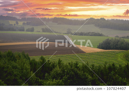 晨霧籠罩的美瑛山 107824407