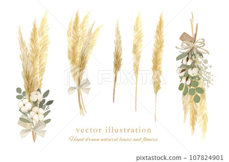 Winter dried flower set painted in watercolor 107824901