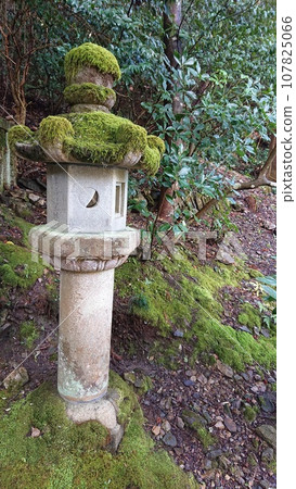 因幡神社內長滿青苔的燈籠3 107825066