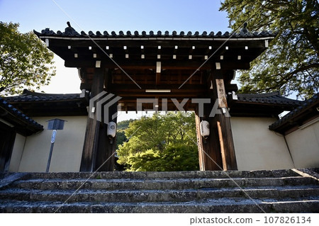 Iwakura JASIOIN追踪 Iwakura JASIOIN追踪 107826134