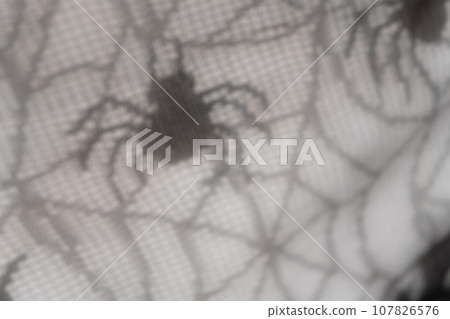 Spider web/Halloween background material 107826576