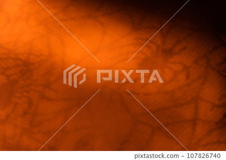 蜘蛛網/萬聖節背景素材 蜘蛛網/萬聖節背景素材 107826740