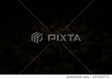 3D illustration Background for advertising and wallpaper in scary and horror scene. 3D rendering in decorative concept. 3D illustration Background for advertising and wallpaper in scary and horror scene. 3D rendering in decorative concept. 107826773