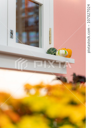 萬聖節活動圖片 萬聖節活動圖片 107827024