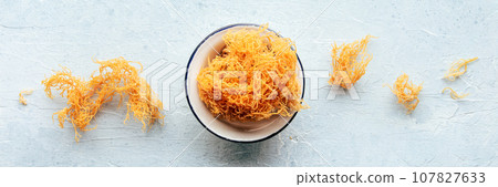 Irish sea moss panorama. Chondrus Crispus, healthy organic raw seaweed Irish sea moss panorama. Chondrus Crispus, healthy organic raw seaweed 107827633