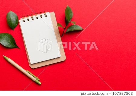 eco-friendly Empty notebook with pen and green leaf on Colored background for note eco-friendly Empty notebook with pen and green leaf on Colored background for note 107827808