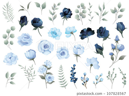 Vector illustration set of floral elements 107828567