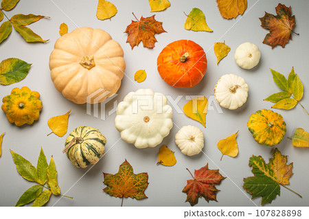 Thanksgiving or fall festive composition with different assorted pumpkins and autumn yellow leaves on light gray background top view. 107828898