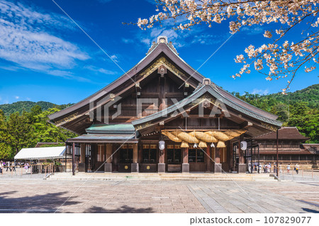 Hodan, Main Hall of Izumo Taisha  in Izumo city, Shimane, Japan 107829077
