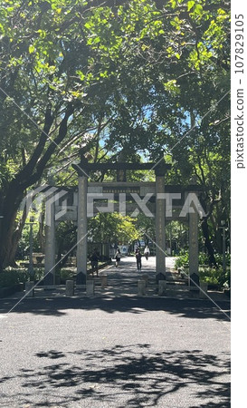 The sunlight passing through the trees illuminates the 228th Memorial Park on the Long Corridor, forming a beautiful light and shadow. 107829105