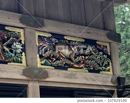 Nikko Toshogu Nikko Toshogu 107829180