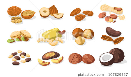 Set of nuts. Cartoon colorful nuts kernels, organic food healthy snack food for vegetarian, vegan diet. Vector isolated collection 107829537