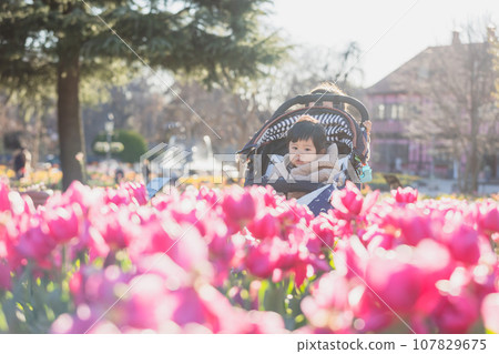 boy looking at tulips 107829675
