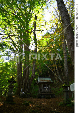 Kenkatsura Shrine, a power spot in Saigo Village, Nishishirakawa District, Fukushima Prefecture 107830625