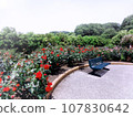 A resting bench at Gifu World Rose Garden, a rose garden in Kani City, Gifu Prefecture. 107830642