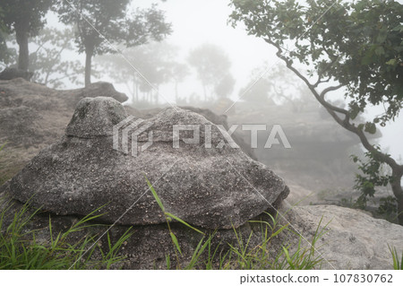 rock on cliff with foggy atmosphere rock on cliff with foggy atmosphere 107830762