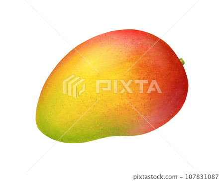 Mango. Fresh tropic whole fruit. Realistic vivid illustration isolated on white background. Icon clip art. Mango. Fresh tropic whole fruit. Realistic vivid illustration isolated on white background. Icon clip art. 107831087
