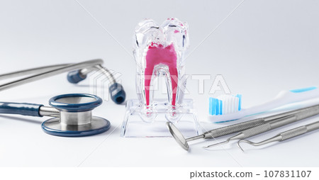 Tooth with dentist tools on white background, dental healthcare and treatment concept 107831107