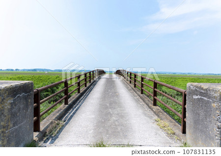 Old bridge Old bridge 107831135