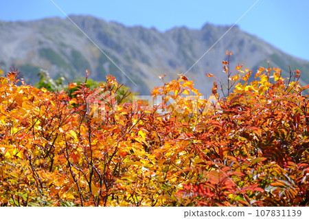 立山羅文 立山羅文 107831139