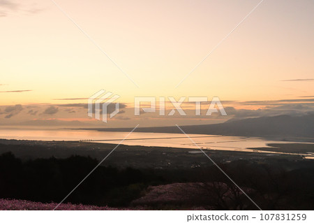 清晨的白紀峰高原 107831259
