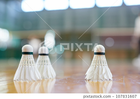 Badminton shuttlecock placed on the floor of an indoor sports field 107831607